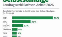 So wählten am 06.09.2026 zur Landtagswahl in Sachsen-Anhalt die Selbständigen